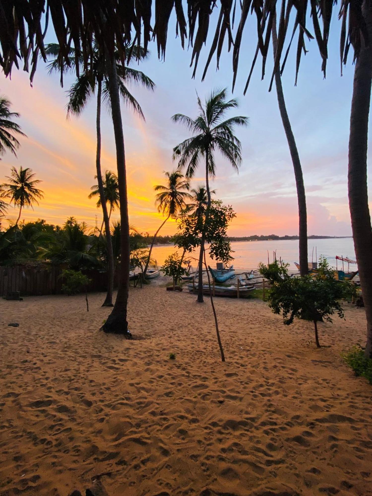 Hotel Ocean Vibe Srilanka Arugam Bay Exterior foto